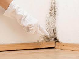 Best Mold Prevention Services  in Emigsville, PA